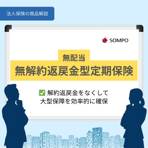 無配当無解約返戻型定期保険