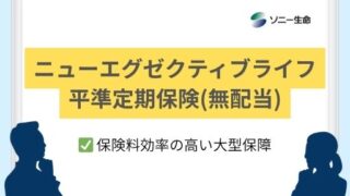 ニューエグゼクティブライフ平準定期保険(無配当)|ソニー生命