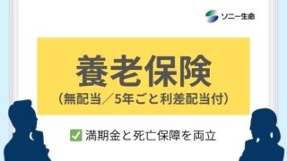 養老保険(無配当/5年ごと利差配当付)|ソニー生命