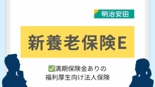 新養老保険E|満期保険金ありの福利厚生向け法人保険