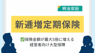 新逓増定期保険|保険金額が最大5倍に増える経営者向け大型保障