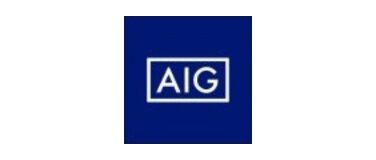 AIG損保
